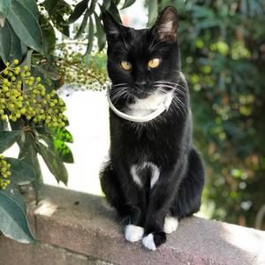 Meet your Posher, Margaret